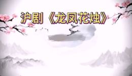 沪剧《龙凤花烛洞房叙情》陈磊朱凤娥演唱 字幕版戏曲mp3/mp4下载下载
