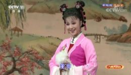 黄梅戏《天仙配》选段下载袁媛演唱劝董郎休要泪涟涟mp3/mp4资源下载