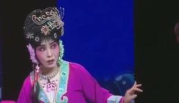 蒲剧《表花》吉有芳名家戏曲唱段下载，经典蒲剧资源免费获取