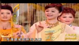 黄梅戏歌舞《微萃梅芳》韩再芬主演高清下载 mp3/mp4资源一站式获取下载