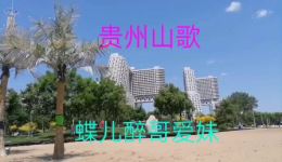 贵州山歌《蝶儿醉哥爱妹》伴奏曲下载mp3/mp4格式，班其红演唱，云贵特色山歌