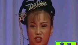 二人转传统小帽《妓女悲秋》- 尤三、小不点（刘小伟）精彩演绎下载