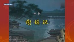 京剧《谢瑶环》全场戏高清下载 - 丁晓君、张慧芳等名家主演经典京剧资源下载