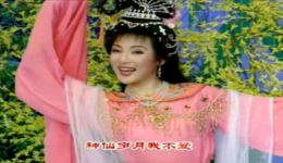 杨俊韩再芬黄梅戏《天仙配》《徽州女人》选段，经典名家演唱，好听好看下载