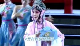 锡剧《珍珠塔·赠塔》黄静慧黄云茜演唱 韵味扮相俱佳 经典片段在线下载