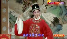 黄梅戏《女驸马·谁料皇榜中状元》名家孙娟演唱，经典唱段在线下载下载