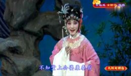 黄梅戏《女驸马》选段下载，名家孙娟演唱，经典唱段在线获取下载