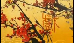 穷乐观