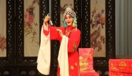 楚剧《双玉婵》全场戏曲下载，夏青玲主演高清mp3/mp4资源下载