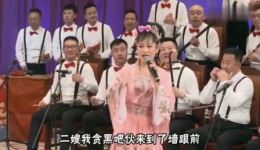 墙里墙外