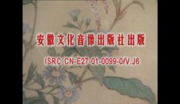 《庐剧《赌鬼》揭露赌博危害，警示珍惜生活下载