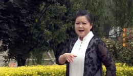 秦腔《岳母刺字》选段MP3/MP4下载 康亚婵经典演唱 弘扬精忠报国精神下载