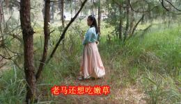 贵州山歌《老马还想吃嫩草》在线下载，mp3/mp4资源免费获取，畅听原汁原味民俗山歌