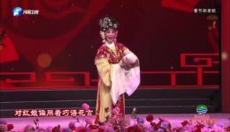 秦腔《红娘》张蓓选段在线下载，经典唱段“看小姐做出来许多破绽”资源