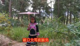 贵州山歌《自从和你结成双》在线下载，mp3/mp4资源一键获取