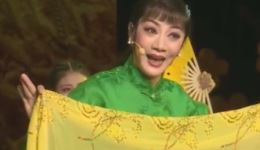 晋剧《麦穗黄了》苗洁经典唱段MP3/MP4下载，名家演绎现代戏精品