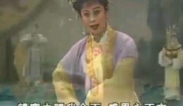 潮剧《张庭芳挂帅》梅花山求将片段MP4/MP3下载,高清戏曲资源一键获取 潮剧《张庭芳挂帅》梅花山求将片段MP4/MP3下载,高清戏曲资源一键获取