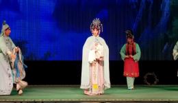 陇剧《假婿乘龙》全本上集下载赵丹等主演经典戏曲资源 陇剧《假婿乘龙》全本上集下载赵丹等主演经典戏曲资源