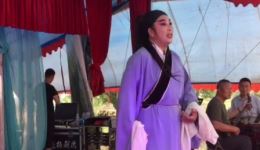 扬剧《大小老婆》庞菲（飞哥）演唱 MP3/MP4下载 高清戏曲资源一键获取下载