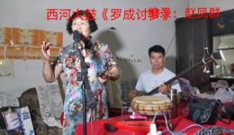 西河大鼓《罗成讨梦》西小银演唱 MP3/MP4下载 经典戏曲资源