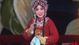 豫剧《花打朝》经典选段李焕娜精彩演绎，不容错过的戏曲盛宴