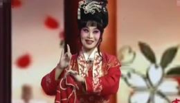 豫剧《拷红》经典选段下载王娜饰演红娘，mp4/mp3资源一键获取下载
