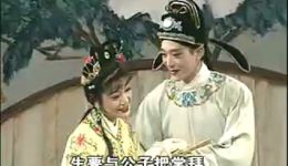 骗婚记