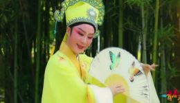 宁海平调《梁祝》吴九李演唱 经典戏曲在线下载 正版高清资源 宁海平调《梁祝》吴九李演唱 经典戏曲在线下载 正版高清资源