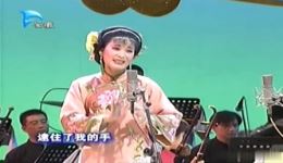 黄梅戏《小辞店》选段吴美莲深情演唱，经典唱段优美动听下载