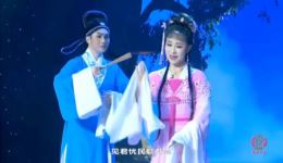 黄梅戏名段联唱《女驸马》《龙女》选段 袁媛邬云张小威精彩演绎下载