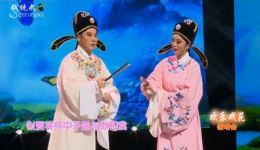 黄梅戏《梁祝》选段下载 - 张敏石蔚华经典演绎，MP4/MP3戏曲资源免费获取