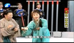黄梅戏《窦娥冤·公堂》周源源演唱，经典感人片段，速来下载！下载