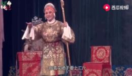 豫剧《杨八姐游春》全剧下载_许青枝主演经典戏曲MP4/MP3资源