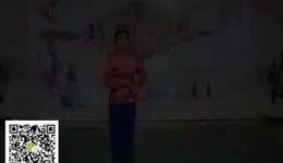范派淮海戏《双玉蝉》刘素芹演唱视频MP4/MP3下载，高清淮海戏资源