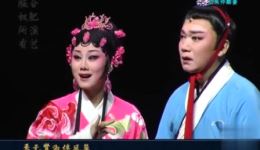 段婷婷主演庐剧《孔雀东南飞》MP4/MP3视频音频资源下载，经典爱情悲剧戏曲全集下载