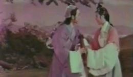 槐荫记