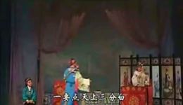 牡丹对药