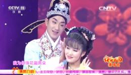 黄梅戏《桃花扇》选段陈莹胡磊演唱，黄莺树上声声唱，经典戏曲片段在线观看下载下载
