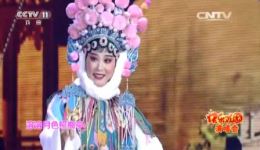 免费黄梅戏《百花赠剑》选段下载，吴美莲精彩演绎，速来获取！下载