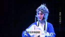 节妇吟