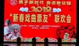庐剧《绣罗衫》徐静主演戏曲视频MP4/MP3下载，经典地方戏资源一键获取下载