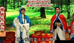 赣剧《长亭别》高清戏曲视频MP4/MP3资源下载，经典剧目在线观看