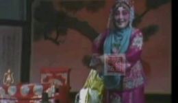 豫剧《花打朝》79年全场录像 马金凤领衔主演 经典马派名剧在线观看下载