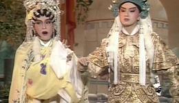 凤阁恩仇未了情