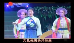 沪剧经典《卖红菱》选段，肖国华、施敏等名家倾情演绎，高清片段在线下载