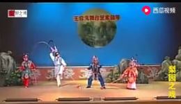 刘金定下南唐