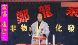 河南坠子《大宋五龙传》崔桂云演唱，刘联修坠胡伴奏，经典曲艺在线畅享下载