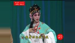 春花走雪