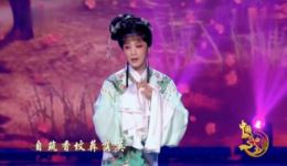 红楼梦·葬花
