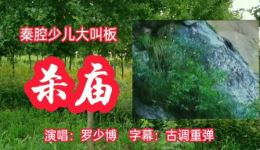 秦腔少儿大叫板《杀庙》戏曲视频MP4/MP3下载,经典秦腔选段资源 秦腔少儿大叫板《杀庙》戏曲视频MP4/MP3下载,经典秦腔选段资源
